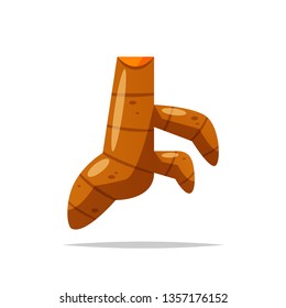 Turmeric vector isolated illustration