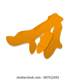 turmeric vector on white background  