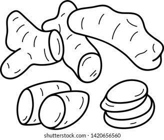 Turmeric. Vector outline icon isolated on white background.