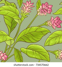 turmeric vector pattern