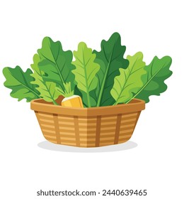 Turmip greens in busket Green Leafy Vegetables vector illustration