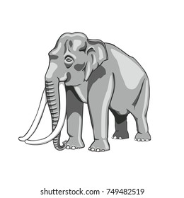 Turn Left Thai Elephant Big ivory Illustrator on White Background 
