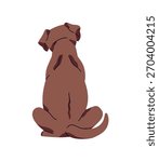 Turned away dog with brown coat. Chocolate labrador retriever sits back view. Happy puppy with wagging tail backside. Behind of pup, fluffy pet, animal. Flat isolated vector illustration on white