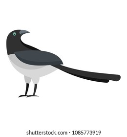 turning magpie icon. Flat illustration of turning magpie vector icon for web