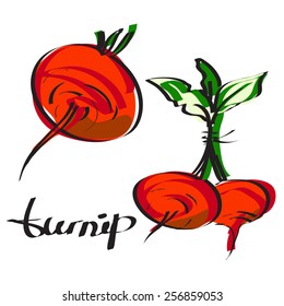  turnip