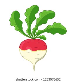 turnip cartoon icon design isolated on white background