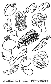 Turnip, corn, bok choy, broccoli, red cabbage, leek. Set of hand drawn line vegetables. Isolated on white background and grouped for easy selection. Design elements, stickers or poster.