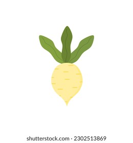 turnip flat design vector illustration