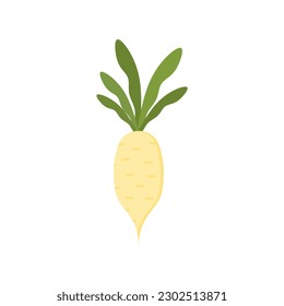 turnip flat design vector illustration