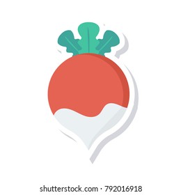 turnip food vegetable 