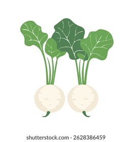 turnip greens 2D flat vector illustration icon, isolated on a white background.