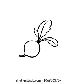 Turnip hand drawn outline doodle icon. Vector sketch illustration of healthy vegetable - raw turnip for print, web, mobile and infographics isolated on white background.