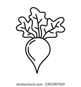 Icono de doodle de contorno dibujado a mano. Ilustración vectorial de verduras sanas, nabo crudo para impresión, web, móviles e infografías aisladas en fondo blanco.