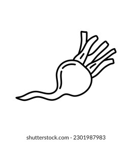 Icono de doodle de contorno dibujado a mano. Ilustración vectorial de verduras sanas, nabo crudo para impresión, web, móviles e infografías aisladas en fondo blanco.