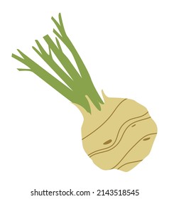 Icono de Turnip. Hortalizas de doodle de color. Raíz difícil