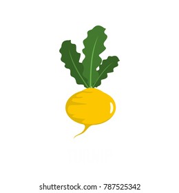 Turnip icon. Flat illustration of turnip vector icon isolated on white background