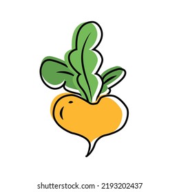 Turnip icon in flat style isolated on white background. Isolated object, logo. Vegetable from the farm. Organic food. Turnip contour. Vector illustration.