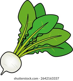 The turnip icon isolated on white background