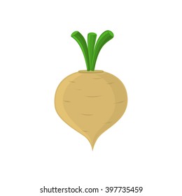 Turnip icon isolated on white background. Vector illustration.