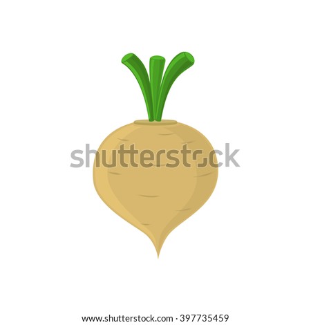 Turnip icon isolated on white background. Vector illustration.