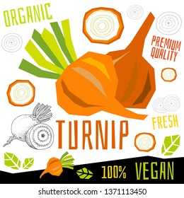 Turnip icon label fresh organic vegetable, vegetables nuts herbs spice condiment color graphic design vegan food. Hand drawn vector illustrations.