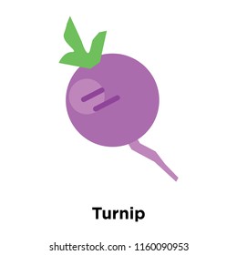 Turnip icon vector isolated on white background, Turnip transparent sign