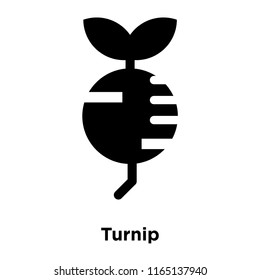 Turnip icon vector isolated on white background, Turnip transparent sign , food and fruit symbols