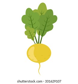 Turnip isolated on white background. Vector illustration. Flat design.