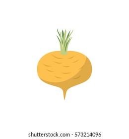Turnip isolated. Yellow vegetables on white background. vegetarian Food