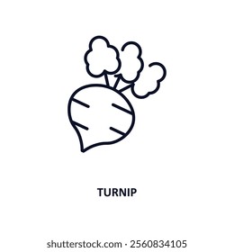 turnip outline icon.  Thin line icon from gastronomy collection. Editable vector isolated on white background