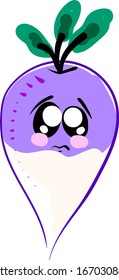 Turnip sad, illustration, vector on white background.
