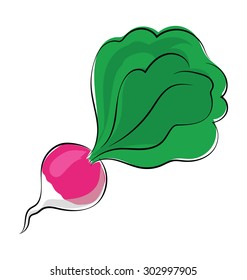 Turnip Sketchy Colored Vector Icon 