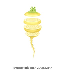 Turnip slices lying in vertical row. Healthy organic vegetable vector illustration