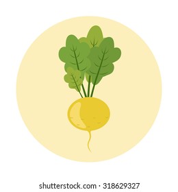 Turnip vector illustration. Flat design
