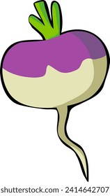 Ilustración del vector Turnip. Aislado sobre fondo blanco.