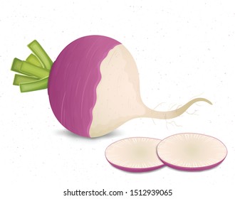 turnip vector illustration with turnip pieces on white background