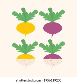 Turnip vegetable icon. Colored vector isolated illustration. Clipart and drawing. 