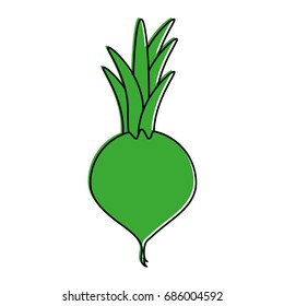 turnip vegetable icon image 