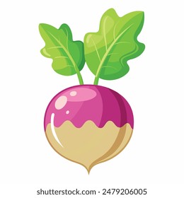 Turnip Vegetable Illustration Cartoon Vector Isolated Icon