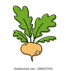 Turnip. Esbozo vegetal. Icono de color simple. Ilustración de doodle de vector dibujado a mano