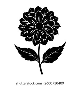 Turnsol Flower on white background