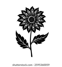 Turnsol flower vector on white background