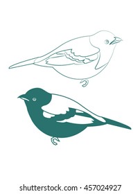 turquoise birds