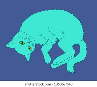 turquoise cat on a blue background