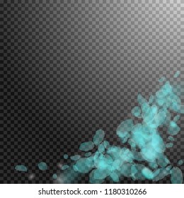 Turquoise flower petals falling down. Exceptional romantic flowers corner. Flying petal on transparent square background. Love, romance concept. Alive wedding invitation.