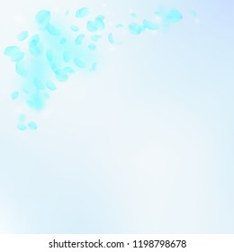 Turquoise flower petals falling down. Nice romantic flowers corner. Flying petal on blue sky square background. Love, romance concept. Amusing wedding invitation.