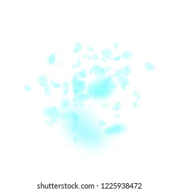 Turquoise flower petals falling down. Stunning romantic flowers explosion. Flying petal on white square background. Love, romance concept. Astonishing wedding invitation.