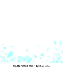 Turquoise flower petals falling down. Alive romantic flowers gradient. Flying petal on white square background. Love, romance concept. Classy wedding invitation.
