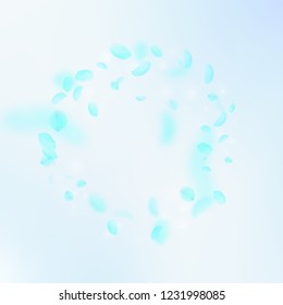 Turquoise flower petals falling down. Terrific romantic flowers frame. Flying petal on blue sky square background. Love, romance concept. Bewitching wedding invitation.