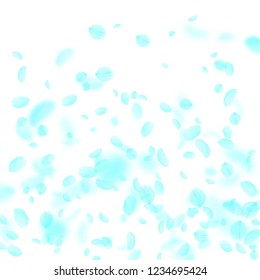Turquoise flower petals falling down. Majestic romantic flowers gradient. Flying petal on white square background. Love, romance concept. Comely wedding invitation.